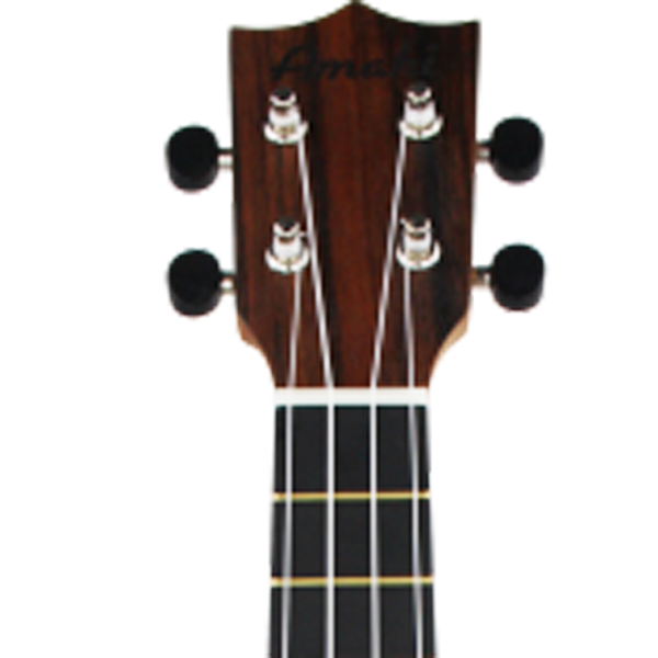 Amahi Heritage Ebony Concert Ukulele  With Bag