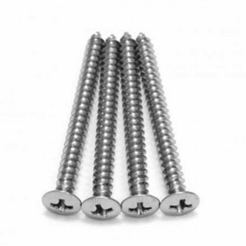 Stainless Neckplate Screws