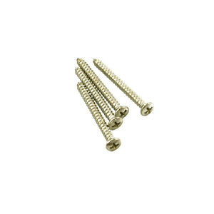 Stainless Neckplate Screws