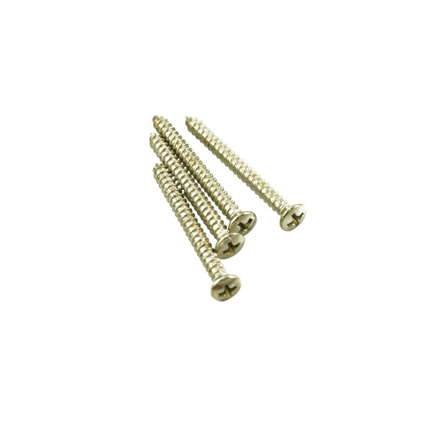 Stainless Neckplate Screws