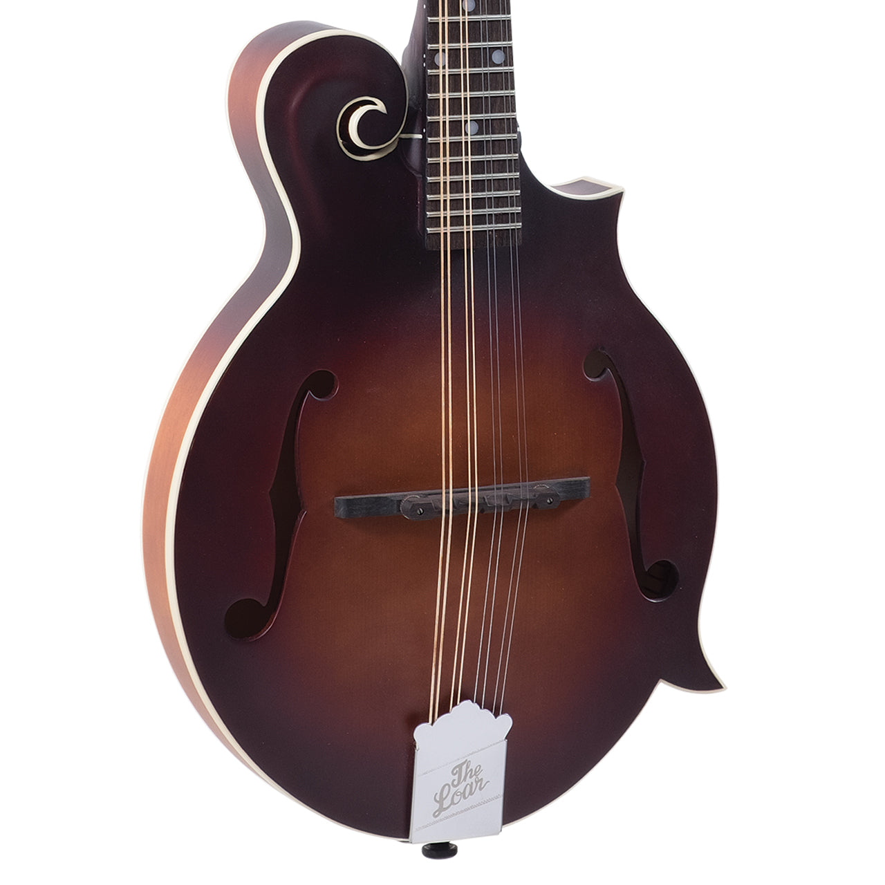 Loar F-Body Solid Top Mandolin LM-310FE-BRB, Fishman Pickup