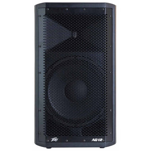 Best 12 hot sale powered speaker